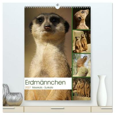 Erdmännchen-Meerkats-Surikate (hochwertiger Premium Wandkalender 2027 DIN A2 hoch), Kunstdruck in Hochglanz