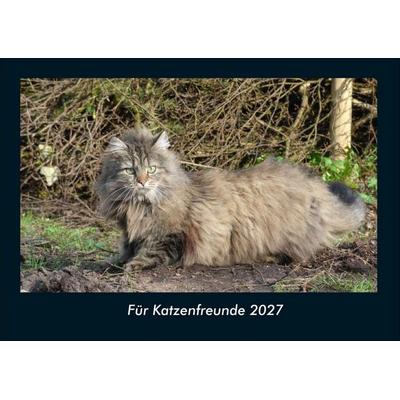 Für Katzenfreunde 2027 Fotokalender DIN A4