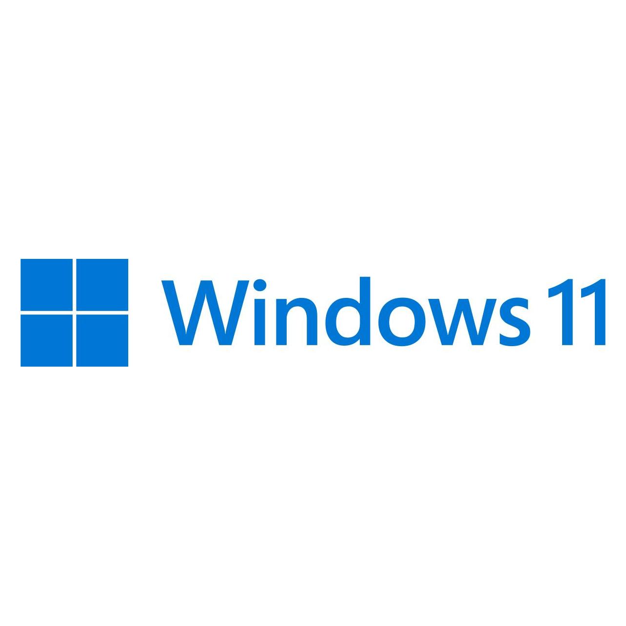 Microsoft Windows 11 Pro Swedish 64-bi (HAV-00157)