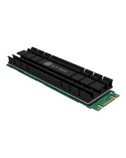 ICY BOX IB-M2HS-701 Solid State Drive Kühlkörper Schwarz (60361)