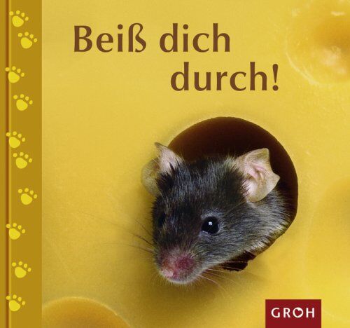 Miriam Lorenz - Beiß dich durch! - Preis vom 13.10.2026 11:25:28 h