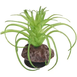 Hobby Terra Succulent 5 - Höhe 8cm