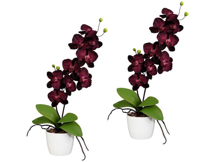 Kunstpflanze CREATIV GREEN Orchidee Phalaenopsis , lila, H:60cm, Kunststoff, Polyester, Kunstpflanzen, Kunstpflanze, im Keramiktopf