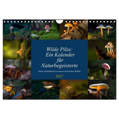 Wilde Pilze: Ein Kalender für Naturbegeisterte (Wandkalender 2027 DIN A4 quer), CALVENDO Monatskalender