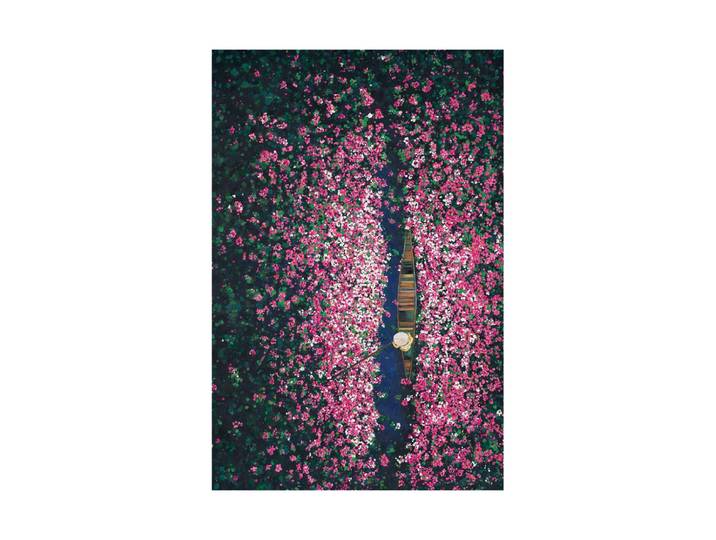 Handbemaltes Bild „Blumenboot“ 80 x 120 cm Multicolor Crea Collection