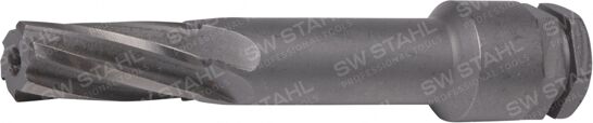 Swstahl Reibahle, Abs-Sensoraufnahme 10159l