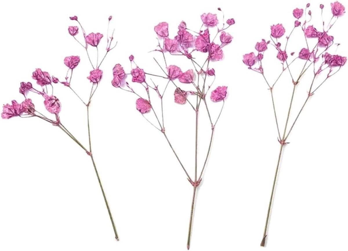 Gedroogd bloemenboeket voor bruiloftversiering - 12 stuks - Rozerood