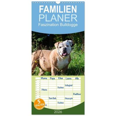 Familienplaner 2026 - Faszination Bulldogge mit 5 Spalten (Wandkalender, 21 x 45 cm) CALVENDO