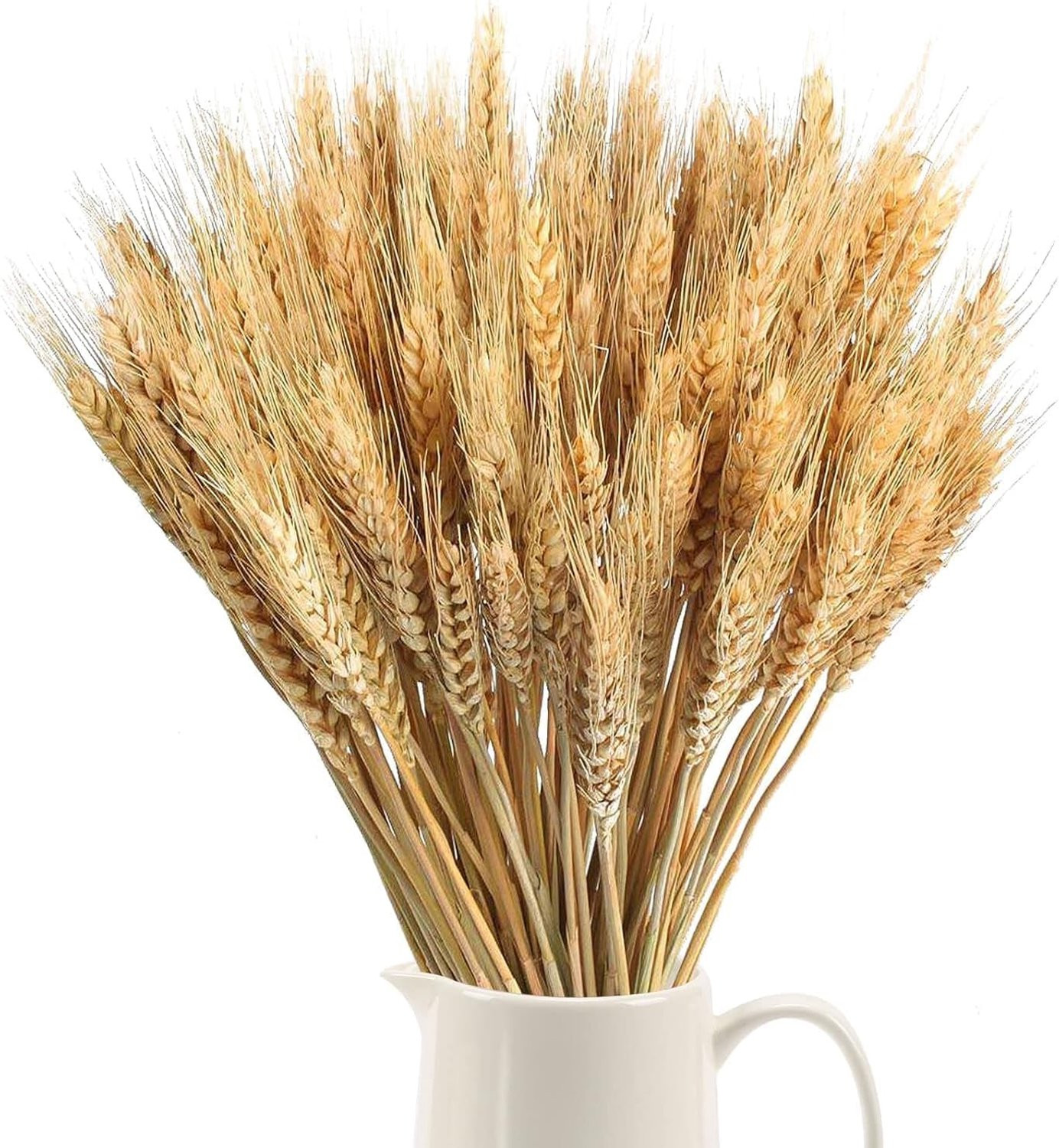 100 stuks natuurlijke gedroogde tarwe voor decoratie