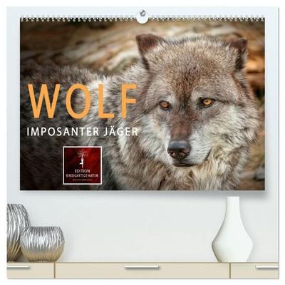Wolf - Imposanter Jäger (hochwertiger Premium Wandkalender 2027 DIN A2 quer), Kunstdruck in Hochglanz