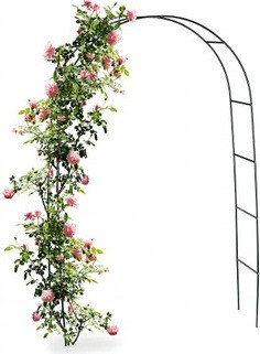 Floraland Boogvormige tuinpergola voor klimrozen, 240 cm