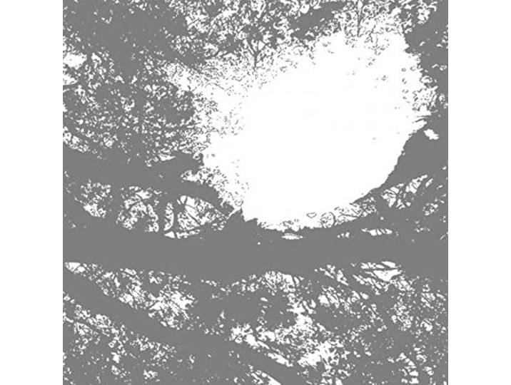 Field Recordings from