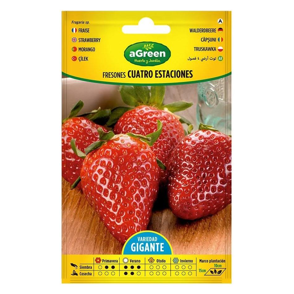 Agreen Envelope with strawberry seeds 4 seasons (Früchtesamen) (67603681)