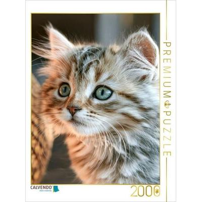CALVENDO Puzzle Das hab ich ja noch nie gesehen | 2000 Teile Lege-Größe 90x67cm Foto-Puzzle für glückliche Stunden, von , Calvendo Puzzle