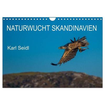 Naturwucht Skandinavien (Wandkalender 2027 DIN A4 quer), CALVENDO Monatskalender