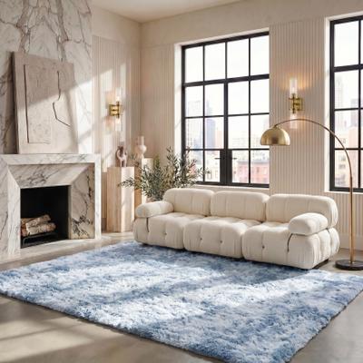 SAFAVIEH Rainbow Shag George Shag Rug