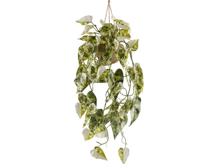 Kunstpflanze Hängeampel Syngonium H80cm grün - Material: Seegras/Kunststoff