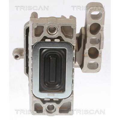 TRISCAN Lagerung, Motor 8505 29119 für VW