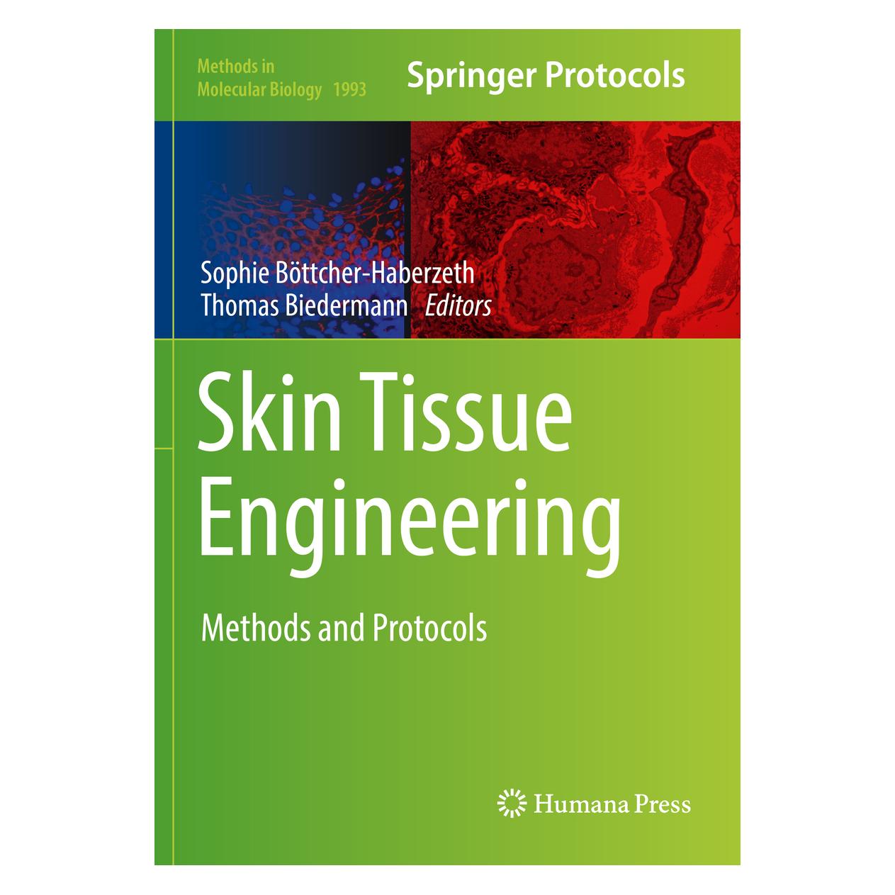 Springer Skin Tissue Engineering (Englisch, Softcover, Sophie Böttcher-Haberzeth, Thomas Biedermann) (56153426)