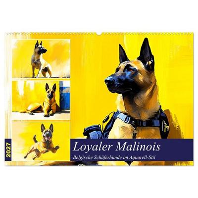 Loyaler Malinois. Belgische Schäferhunde im Aquarell-Stil (Wandkalender 2027 DIN A2 quer), CALVENDO Monatskalender