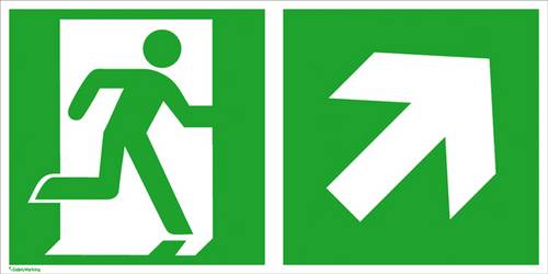 SafetyMarking Fluchtwegschild Aluminium Notausgang rechts, Richtungsangabe rechts aufwärts 15.3046 (B x H) 300mm x 150mm ISO 7010