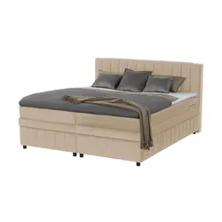 Boxbett mit Bettkasten  ¦ beige ¦ Maße (cm): B: 146 H: 106