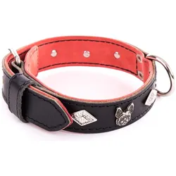 Martin Sellier Bdg (31, Hund, Allgemein, Spazieren), Halsband + Leine