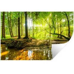 WANDTATTOO Wald - Landschaft - Wasser - Bäume - Sonne - Grün - Natur Deko Wohnzimmer 60x40 cm