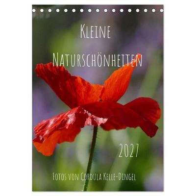 Kleine Naturschönheiten (Tischkalender 2027 DIN A5 hoch), CALVENDO Monatskalender