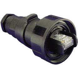 Bulgin PX0834/B Sensor-/Aktor-Steckverbinder, unkonfektioniert Stecker, gerade Polzahl Sensoren: 8P8C 1 St.