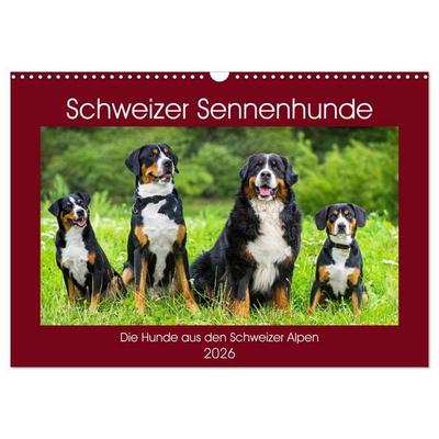 Schweizer Sennenhunde - die Hunde aus den Schweizer Alpen (Wandkalender 2026 DIN A3 quer), CALVENDO Monatskalender