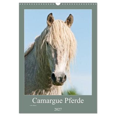 Camargue Pferde - weiße Mähnen (Wandkalender 2027 DIN A3 hoch), CALVENDO Monatskalender