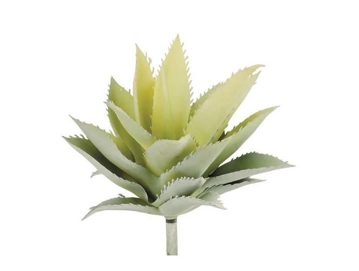 Glorex Mini-Agave Kunstpflanze 15 cm