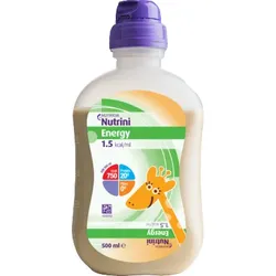 NUTRINI Energy SmartPack 12X500 ml