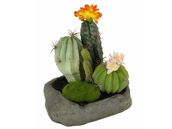 Flair Flower Kunstcactussen in steen\, 19 x 15 x 14 cm