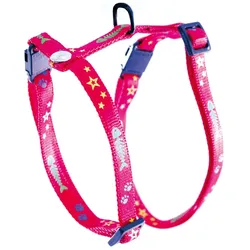 Martin Sellier Fish (50, Katze, Spazieren), Halsband + Leine