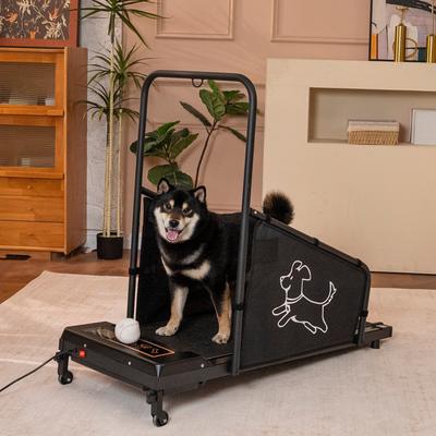 Kodotan sofa Dog Treadmill for Medium Dogs, Dog Pacer Treadmill for Healthy Fit Pets, Dog Treadmill Run Walk