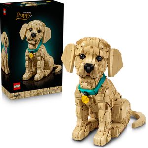 LEGO Icons 11384 Golden Retriever Welpe, ab 18 Jahre, 2.102 Teile