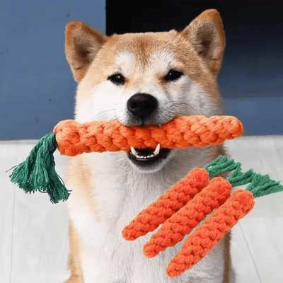 Inspire Picks Duck Plush Dog Toy With Quacking Sound Durable Chew & Teeth Grinding Companion For Dogs carrot 20cm