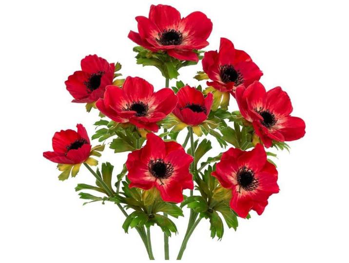 Kunstblumen 3er Set Anemonen Rot 55 cm, Kunststoff, 55 cm, Dekoration, Blumen & Blumentöpfe, Kunstblumen