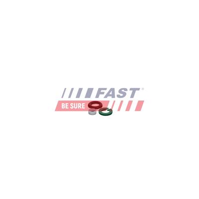 FAST Reparatursatz, Pumpe-Düse-Einheit VW,AUDI,PORSCHE FT01835 06E998907E