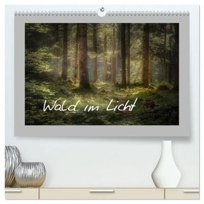 Wald im Licht (hochwertiger Premium Wandkalender 2027 DIN A2 quer), Kunstdruck in Hochglanz