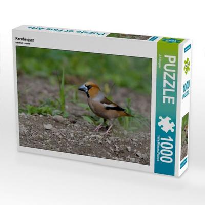 CALVENDO Puzzle Kernbeisser | 1000 Teile Lege-Größe 64 × 48 cm Foto-Puzzle für glückliche Stunden