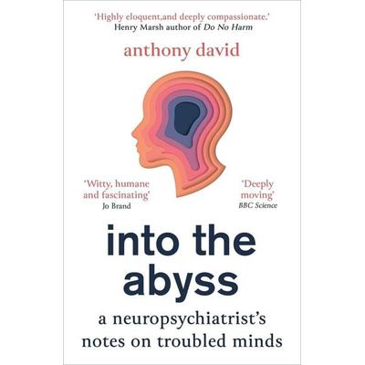 Into the Abyss, Taschenbuch von Anthony David, Oneworld Publications, 978-1-78607-931-2