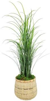 Creative Labs Grass in Bamboo Planter - 38