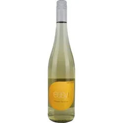 Easy to drink Grüner Veltliner trocken Weingut Setzer 2024