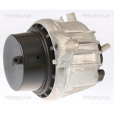 TRISCAN Lagerung, Motor 850511110 für BMW