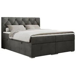 BOXBETT ALDA 180/200 Dunkelgrau Velvet - H4