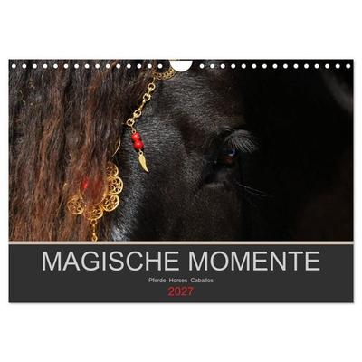 Magische Momente - Pferde Horses Caballos (Wandkalender 2027 DIN A4 quer), CALVENDO Monatskalender