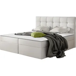 BOXBETT Nele - H3